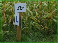 Onderweg puzzelen, raadsels oplossen en door het ma�s dwalen