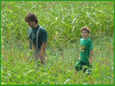 Lekker op je gemak dwalen is de maïsdoolhof