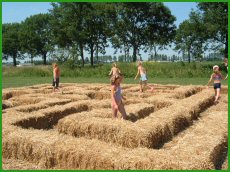 Het strobalendoolhof is altijd leuk