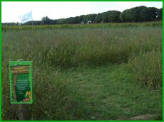 Nieuw in 2007: de roggedoolhof