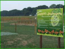 De spelregels voor de doolhoven