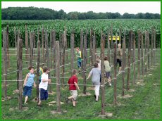 Het palendoolhof: een nieuwe uitdaging!